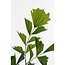 Mica Decorations Artificial Fishtail Palm - Green