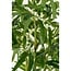 Mica Decorations Artificial Bamboo Plant - Green