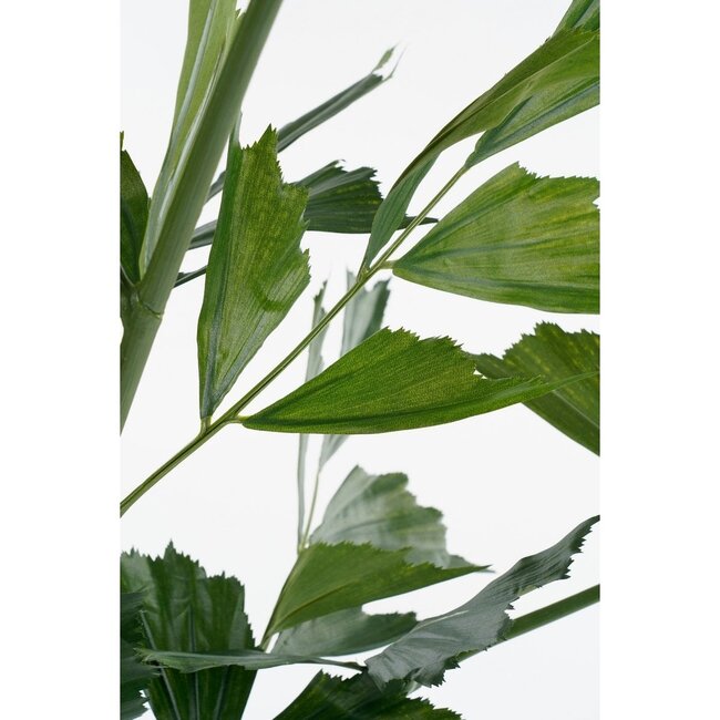Mica Decorations Künstliche Fischschwanzpalme - Grün