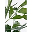 Mica Decorations Artificial Fishtail Palm - Green
