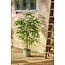 Mica Decorations Artificial Bamboo Plant - Green