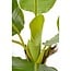 Mica Decorations Artificial Plant - Green