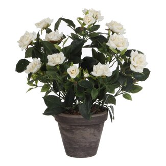 Mica Decorations Künstlicher Rosenstrauch - Weiß - H33 × Ø25 cm