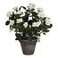 Mica Decorations Kunstplant Wit 1Polyester
