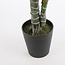 Mica Decorations Artificial Monstera Plant - Green