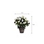 Mica Decorations Artificial Rose Bush - White - H33 × Ø25 cm
