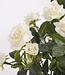 Kunstplant Wit 1Polyester