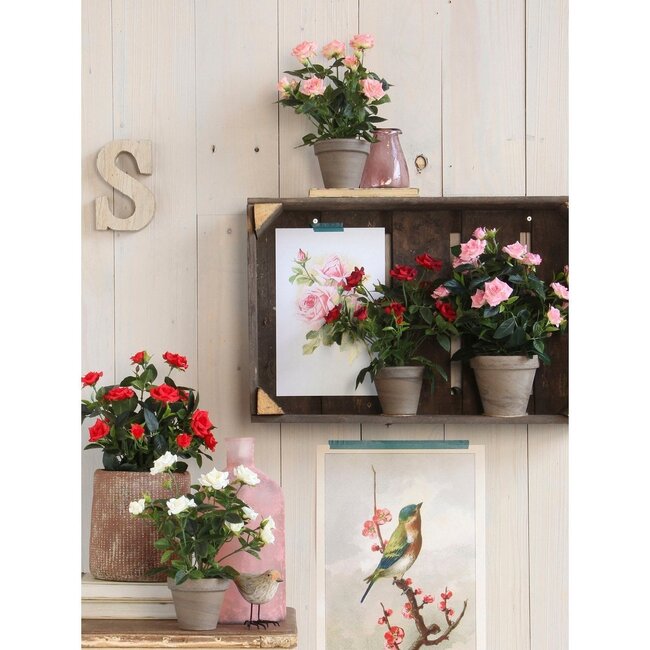 Mica Decorations Artificial Rose Bush - White - H33 × Ø25 cm