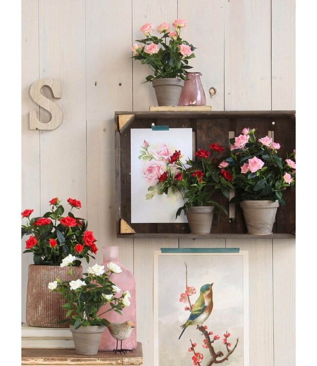 Kunstplant Wit 1Polyester