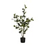 Mica Decorations Kunstplant Groen 1Polyester