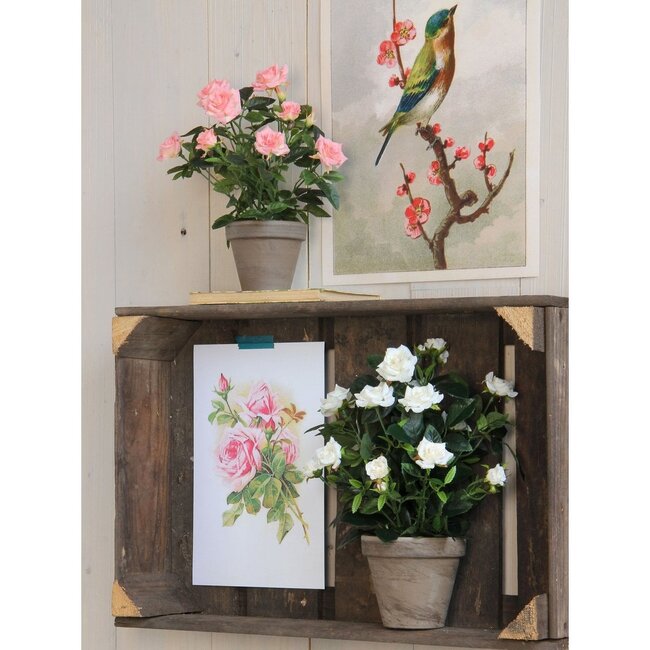 Mica Decorations Artificial Rose Bush - White - H33 × Ø25 cm