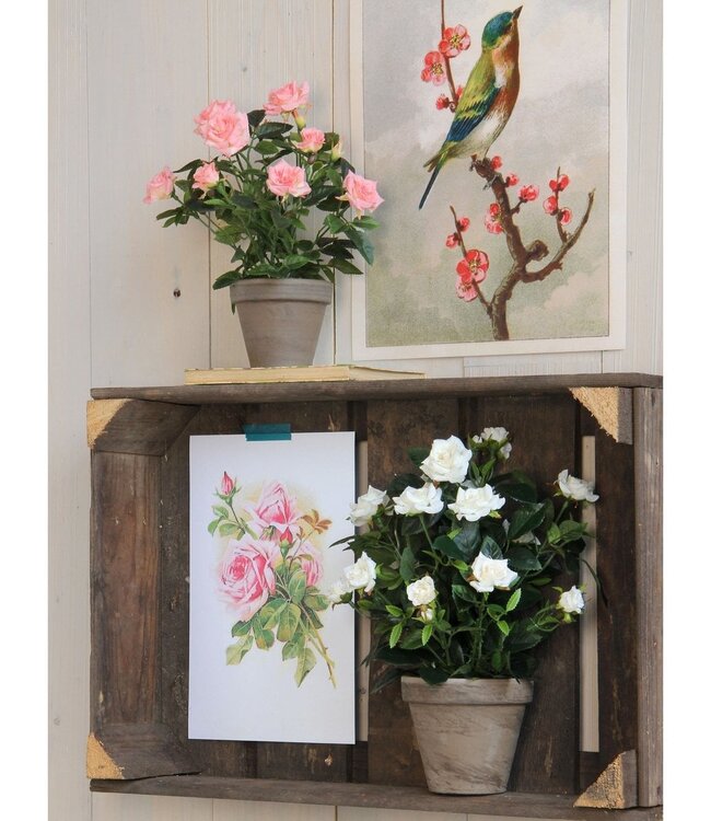 Kunstplant Wit 1Polyester