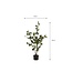 Mica Decorations Artificial Eucalyptus Plant - Green