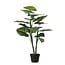 Kunstplant Taro – H100 × Ø70 cm