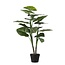Mica Decorations Kunstplant Groen 1Polyester