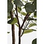 Mica Decorations Künstlicher Eukalyptus - Grün