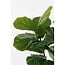 Mica Decorations Artificial Ficus Lyrata Plant - Green