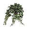 Kunst hangplant Groen 1Polyester