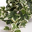 Mica Decorations Artificial Trailing Ivy - Green