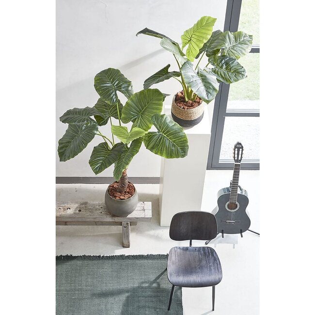 Mica Decorations Artificial Taro Plant - Green - H100 × Ø70 cm
