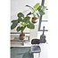 Kunstplant Taro – H100 × Ø70 cm