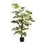 Mica Decorations Kunstplant Groen 1Polyester