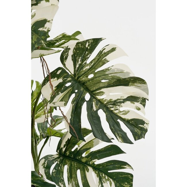 Mica Decorations Künstliche Monstera - Grün