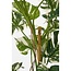 Mica Decorations Künstliche Monstera - Grün