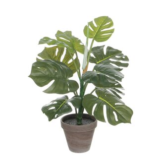 Mica Decorations Künstliche Monstera - Grün