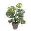 Mica Decorations Künstliche Monstera - Grün