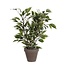 Mica Decorations Kunstplant Groen 1Polyester