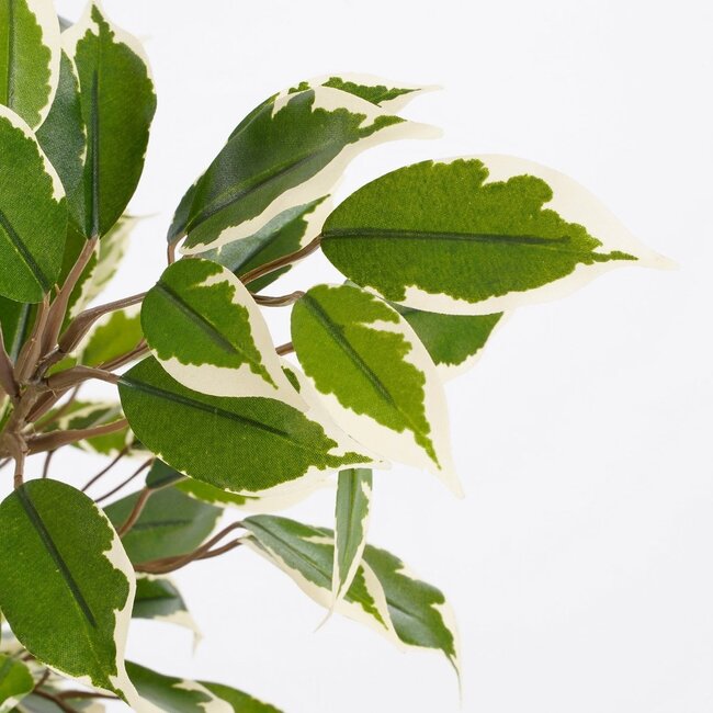 Kunstplant Groen 1Polyester