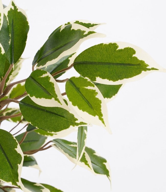 Kunstplant Groen 1Polyester