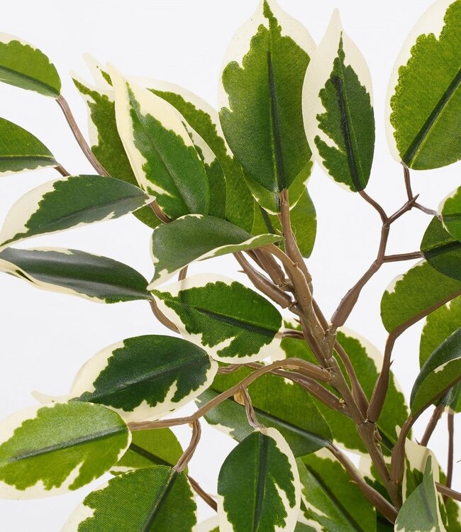 Kunstplant Groen 1Polyester