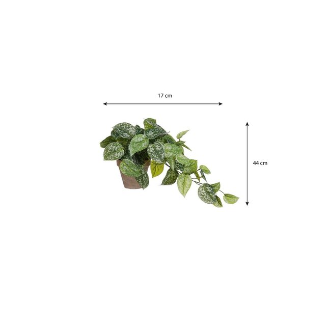 Mica Decorations Artificial Trailing Scindapsus - Green
