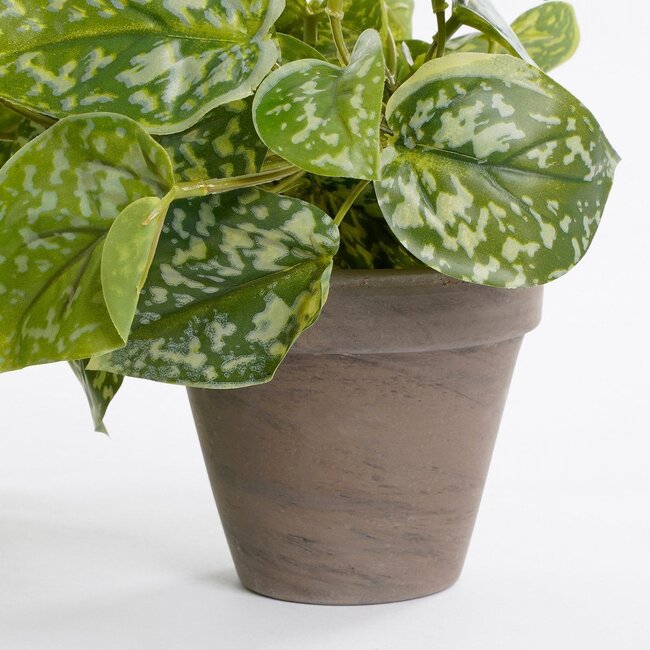 Kunst hangplant Groen 1Kunststof