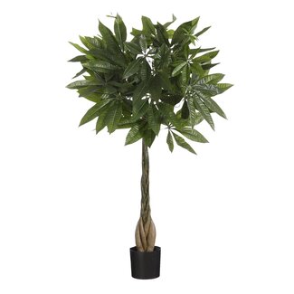 Mica Decorations Artificial Pachira Money Tree – H80 × Ø60 cm