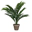 Mica Decorations Kunstplant Groen 1Polyester