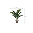 Mica Decorations Künstliche Areca-Palme - Grün - H45 × Ø60 cm