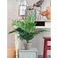 Mica Decorations Künstliche Areca-Palme - Grün - H45 × Ø60 cm