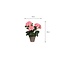 Kunstplant Roze 1Polyester