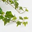 Kunst hangplant Groen 1Polyester