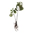 Mica Decorations Kunstplant Groen 1Polyester