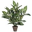 Mica Decorations Artificial Dieffenbachia Plant - Green - H70 × Ø55 cm