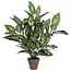 Mica Decorations Künstliche Dieffenbachie - Grün - H70 × Ø55 cm