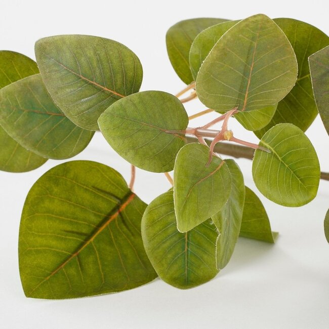 Mica Decorations Artificial Eucalyptus Plant - Green