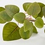 Mica Decorations Künstlicher Eukalyptus - Grün