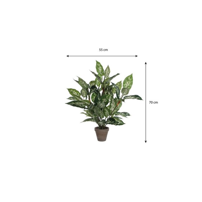 Mica Decorations Artificial Dieffenbachia Plant - Green - H70 × Ø55 cm