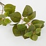 Mica Decorations Künstlicher Eukalyptus - Grün