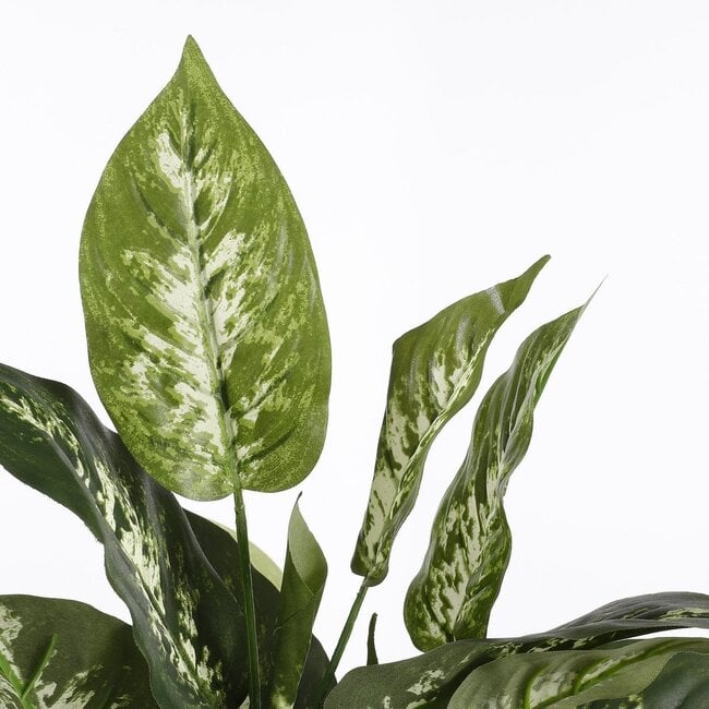 Mica Decorations Artificial Dieffenbachia Plant - Green - H70 × Ø55 cm